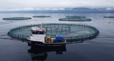 Metro Premium Türk Somonu Nisan’da Sofralarla Buluşuyor