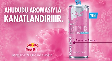 Red Bull Pink Edition ile Yazın En Canlı Anılarına Merhaba!